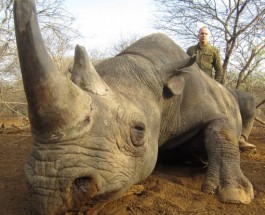 Кровавое хобби Нестора Шуфрича
