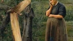 “Податок на дерева” – історія, яку повинен знати кожен українець