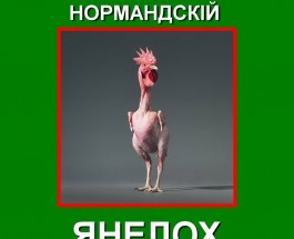 Вернем наши земли, но не любой ценой