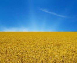 Украина своими глазами. Впечатления россиянина