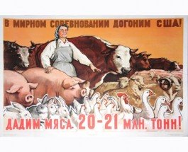 Россия хочет за 50 лет догнать США