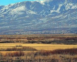 Распассовка Арменией