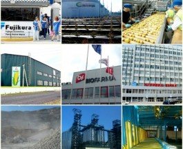Какие новые заводы открыли в Украине