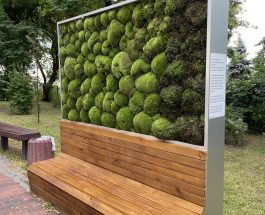 У центрі Києва з’явився новий moss-модуль, що здатний замінити 275 дерев