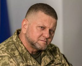 Задум Залужного